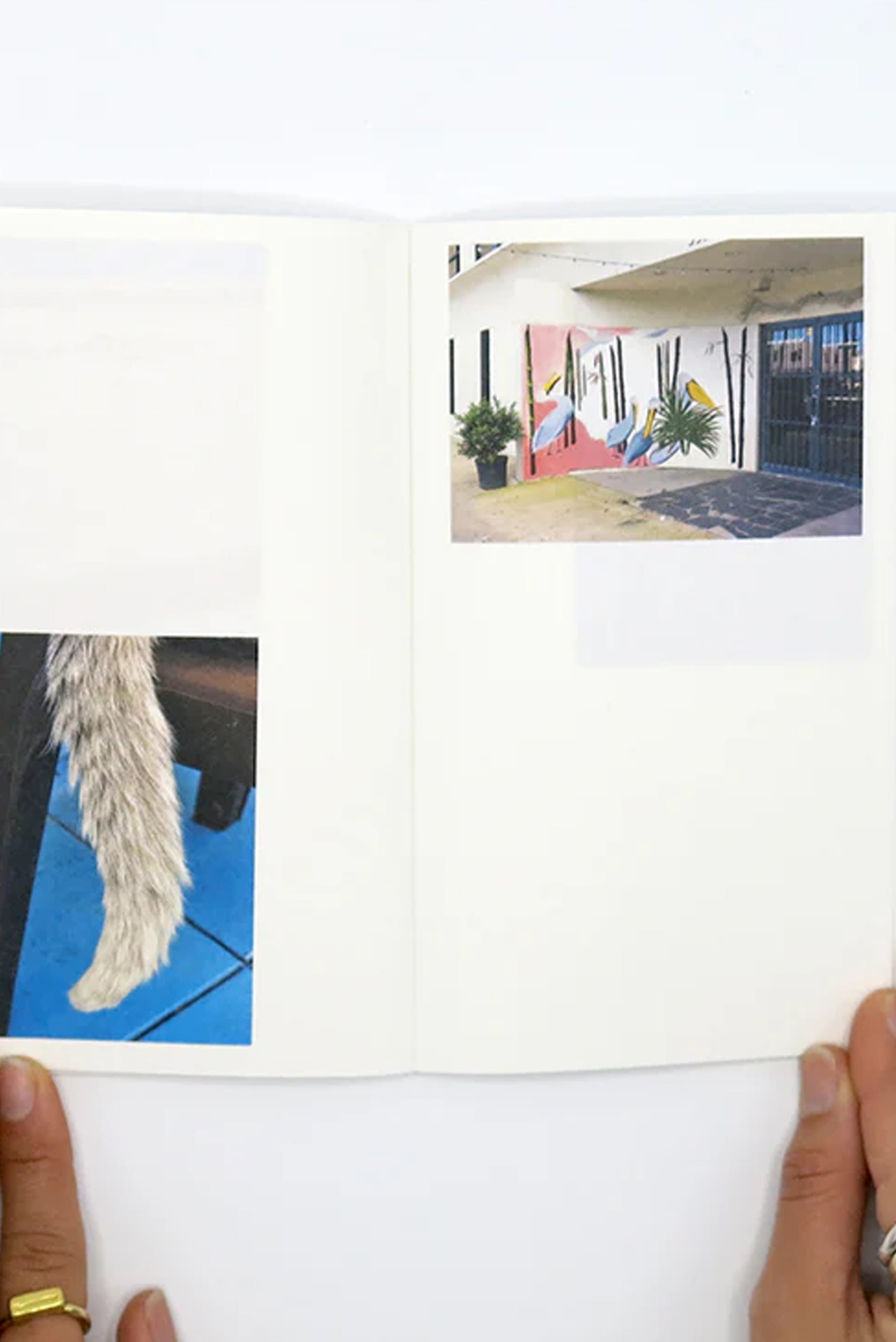 Mike Slack – Walking in Place 1: New Orleans