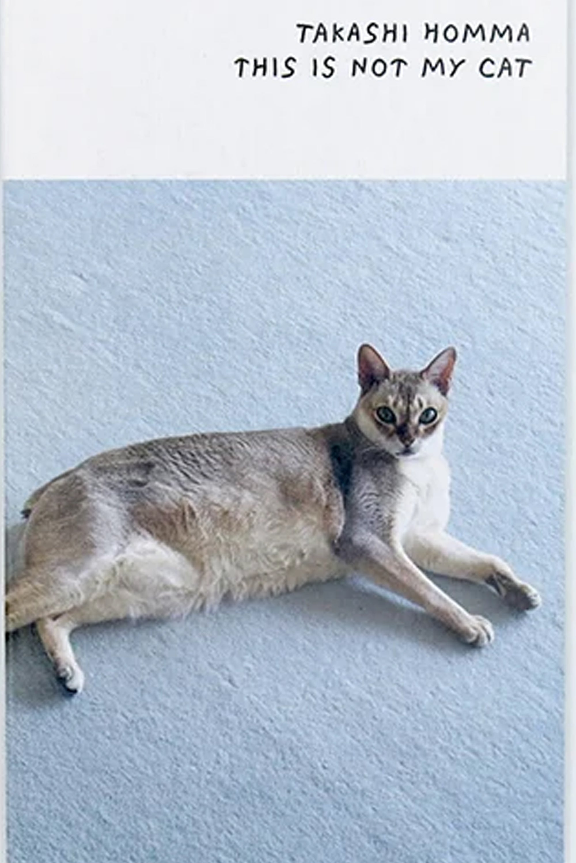 Takashi Homma – This Is Not My Cat
