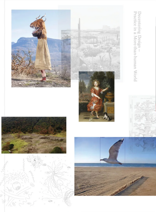ART PAPER EDITIONS Decentering Design — Practice in a More-than-human World