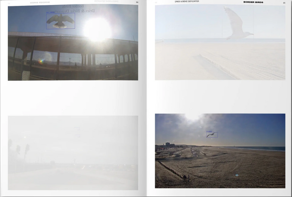 ART PAPER EDITIONS Decentering Design — Practice in a More-than-human World