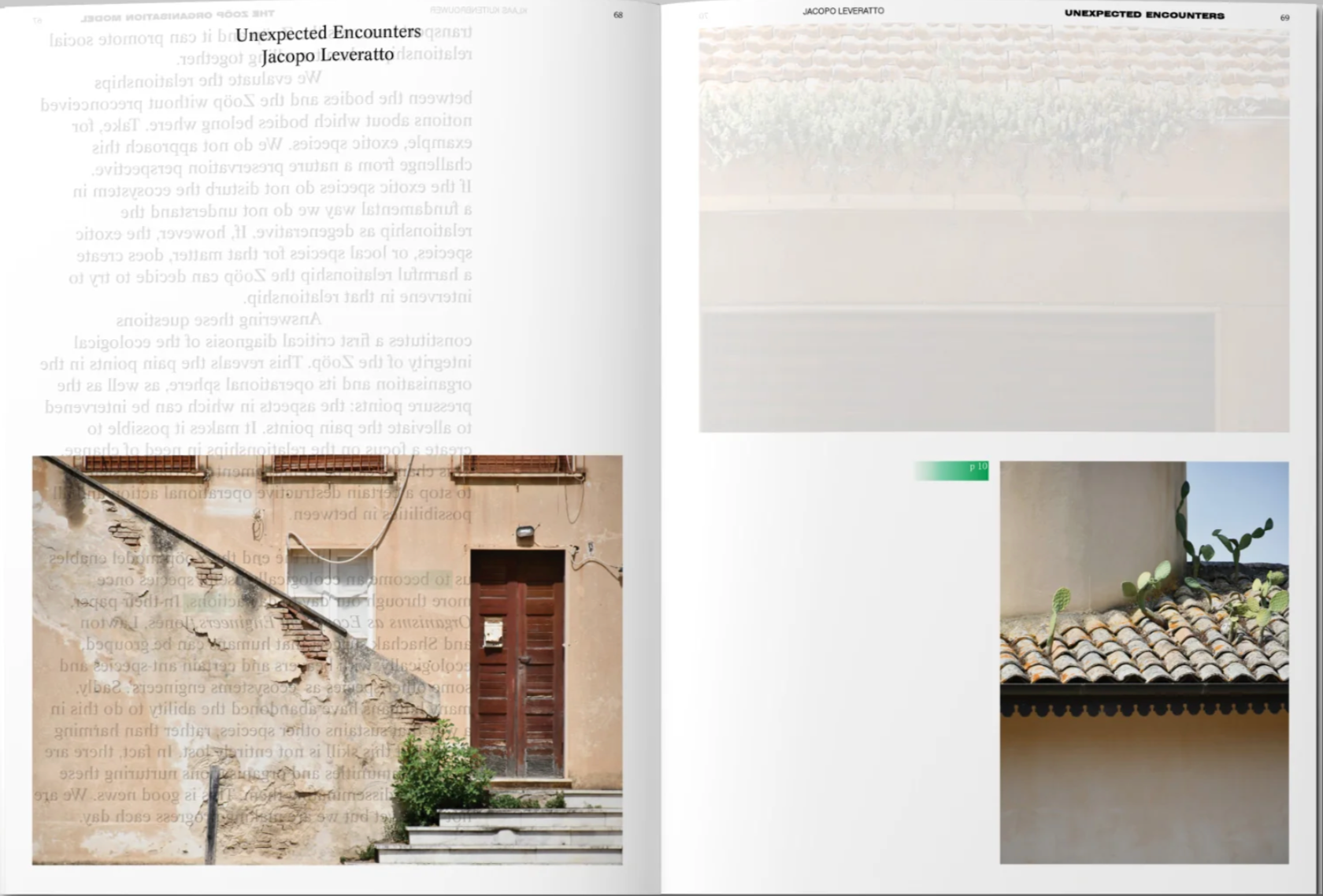 ART PAPER EDITIONS Decentering Design — Practice in a More-than-human World