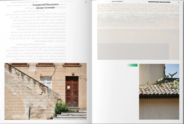 ART PAPER EDITIONS Decentering Design — Practice in a More-than-human World