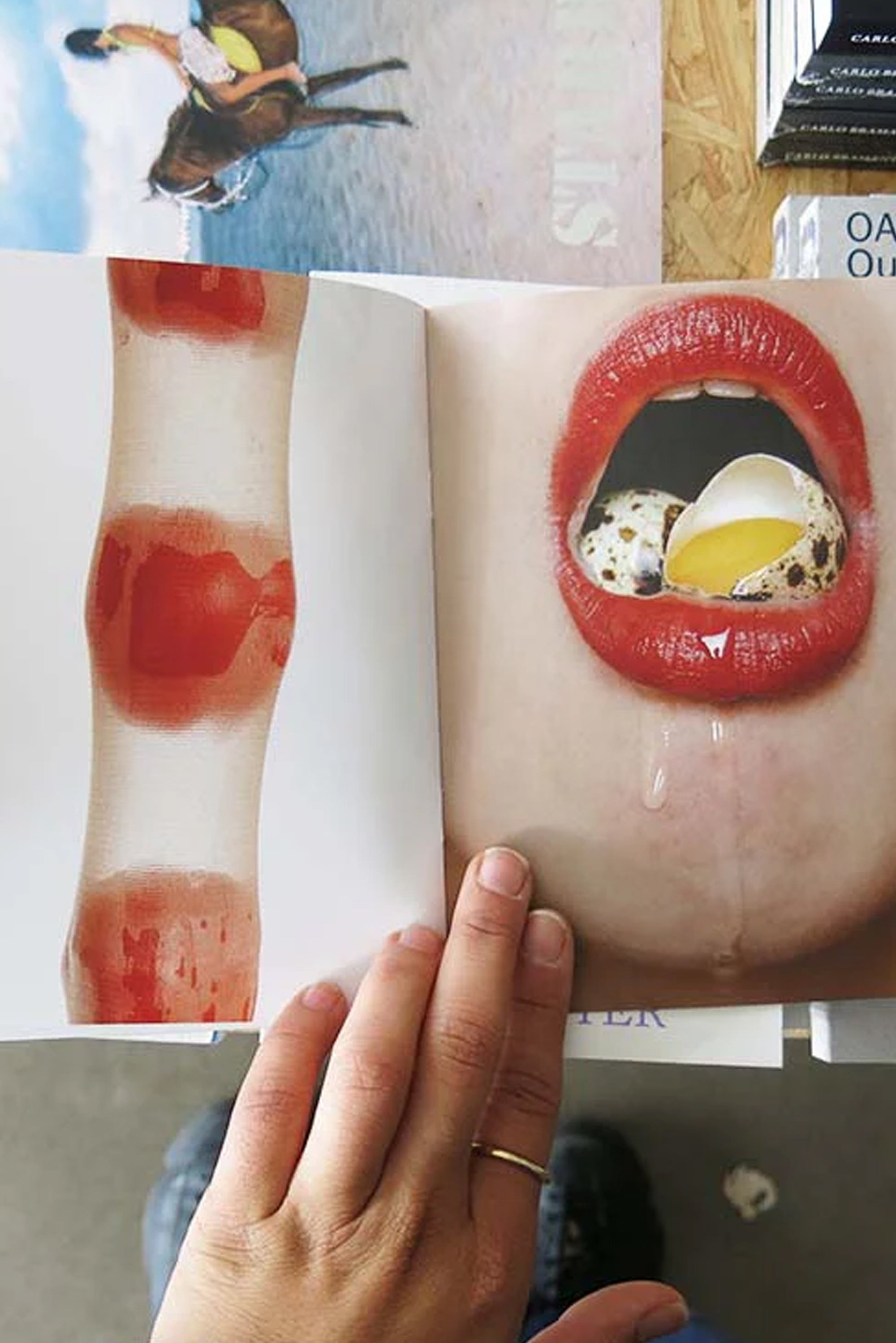 Anh Nguyen – Biting the Hand that Feeds You