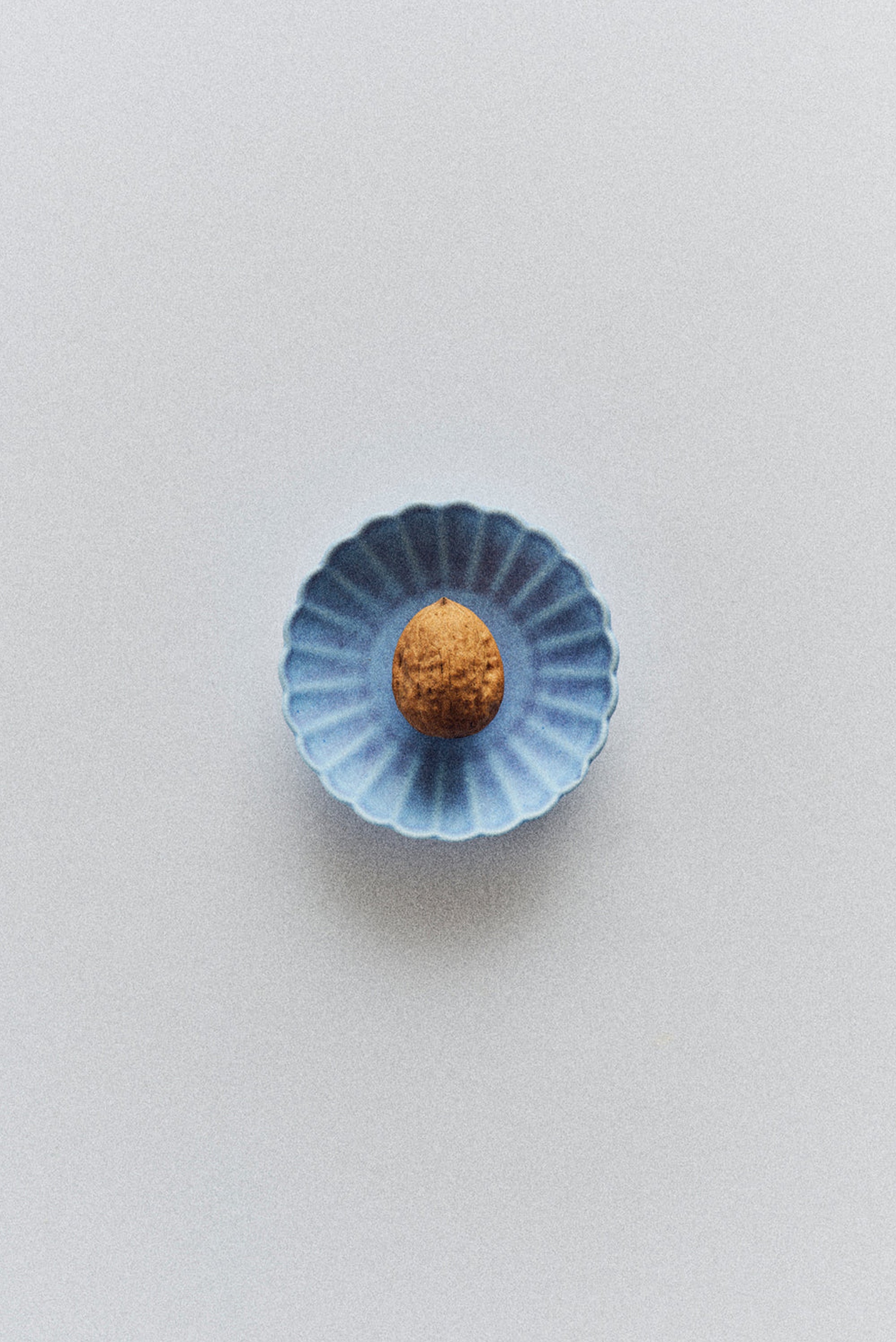 HOUSE EDITIONS Petal Plate (Garnish)