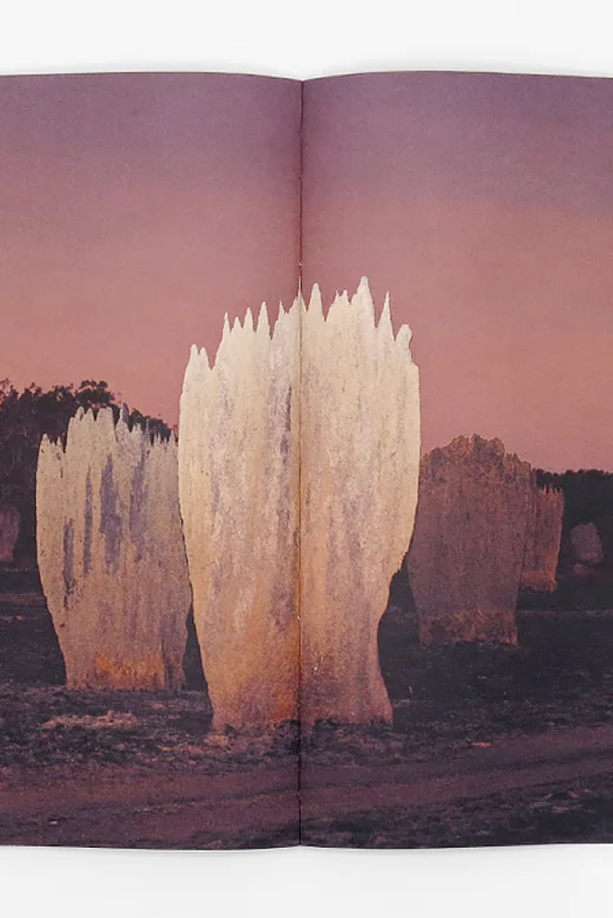 Liss Fenwick – The Colony