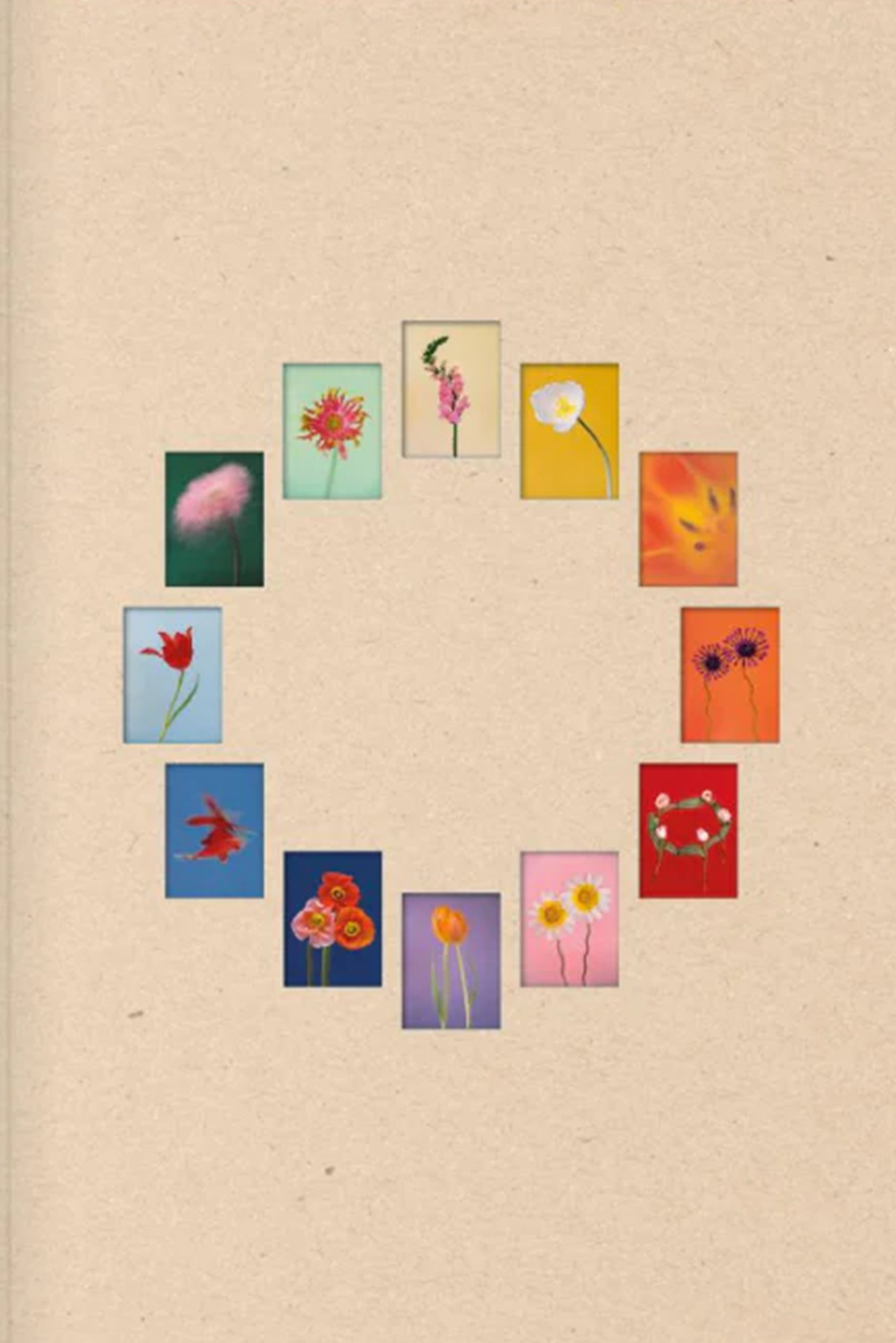 Paula Codoner – The Chromatics of Flowers