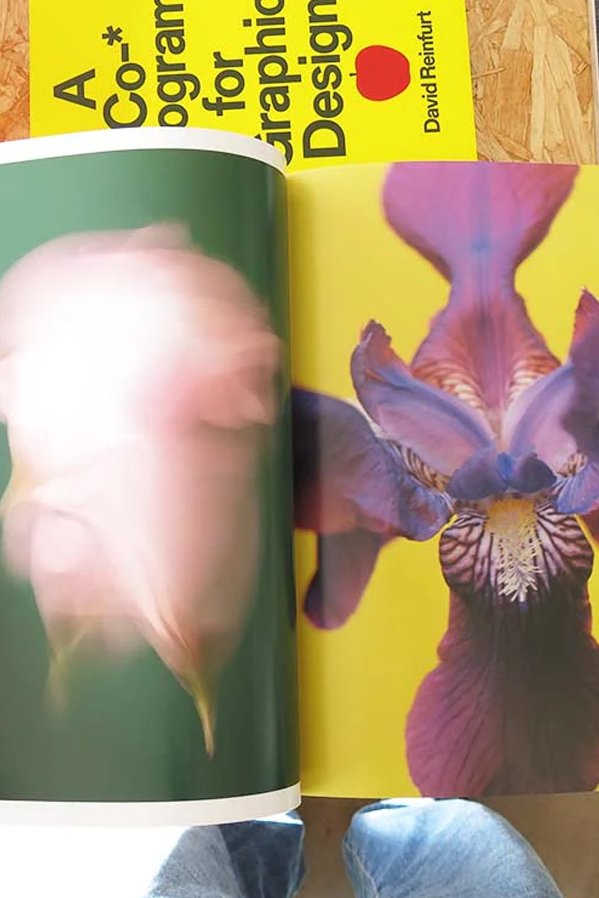 Paula Codoner – The Chromatics of Flowers