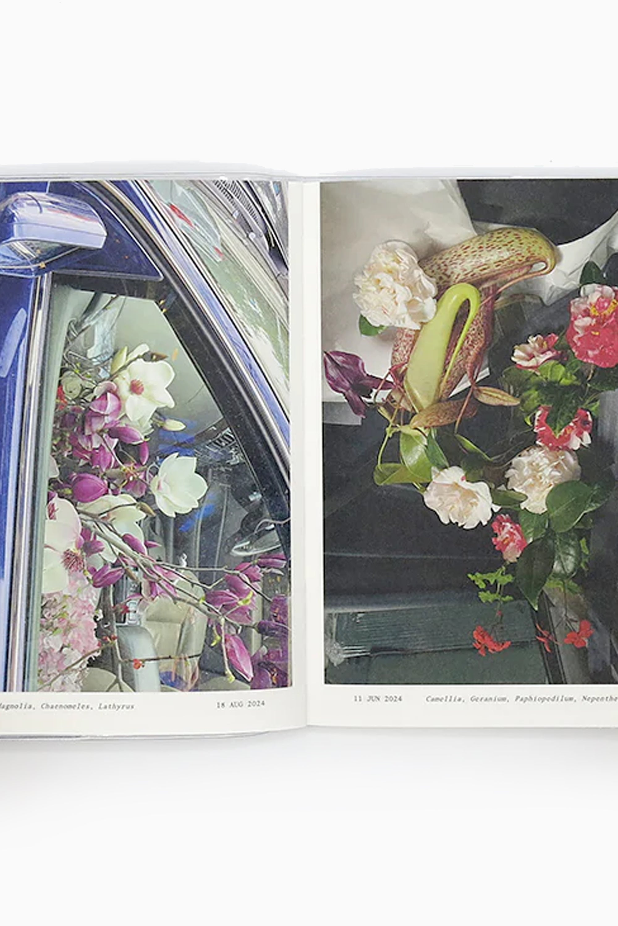 Simone Gooch – Flowers in the Front Seat