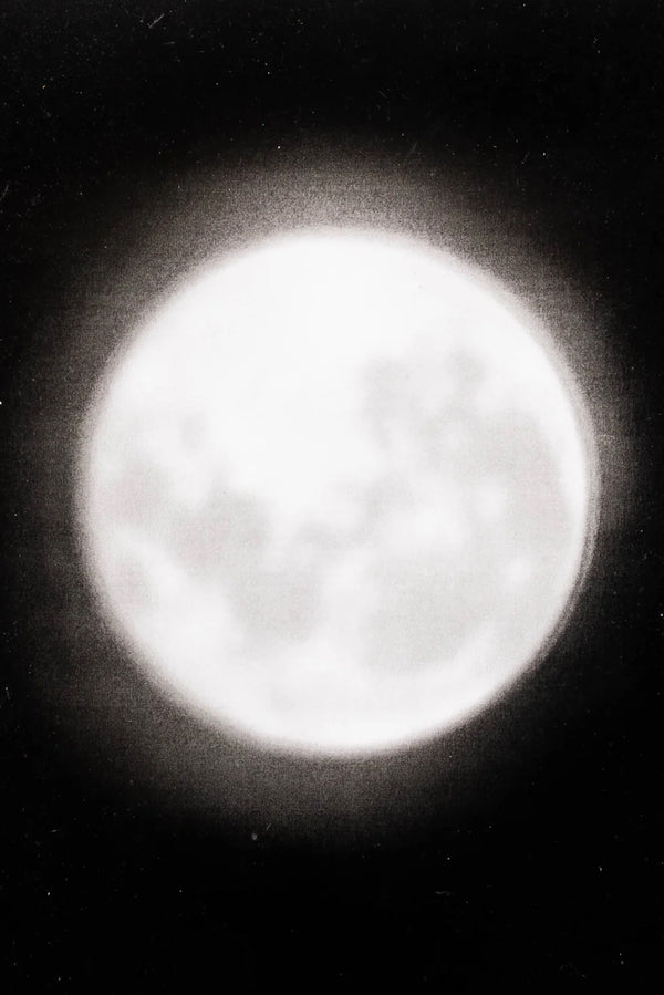 Lele Saveri – Luna 10 Years