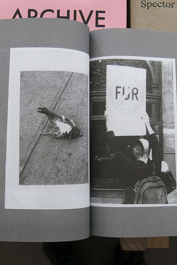 Lele Saveri – Luna 10 Years