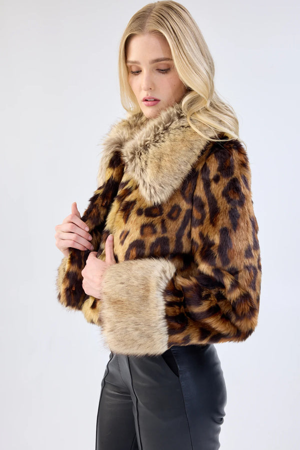 Hidden Tiger Jacket - Leopard Composition
