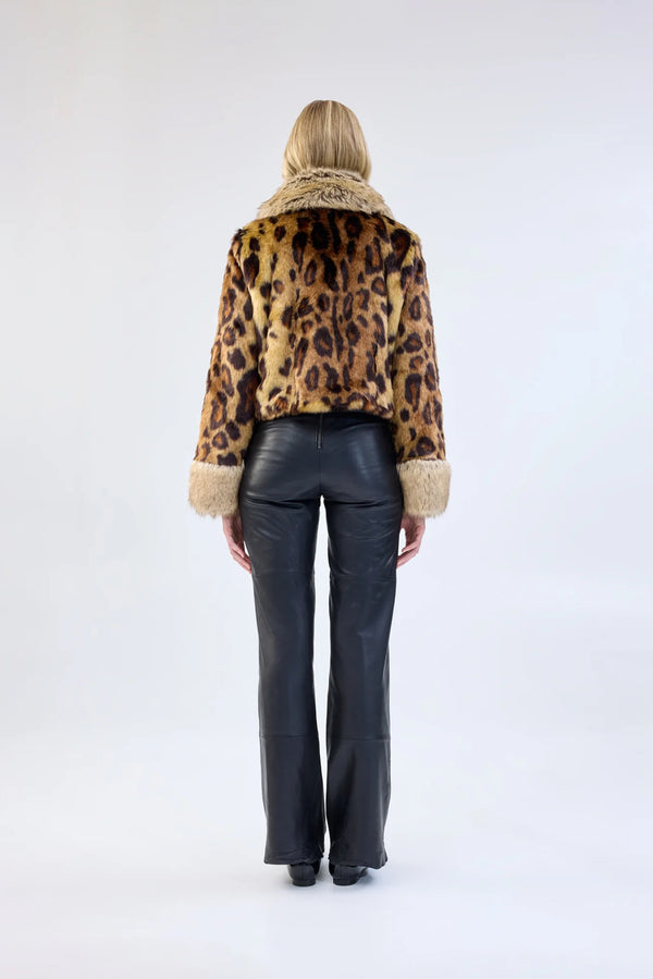 Hidden Tiger Jacket - Leopard Composition