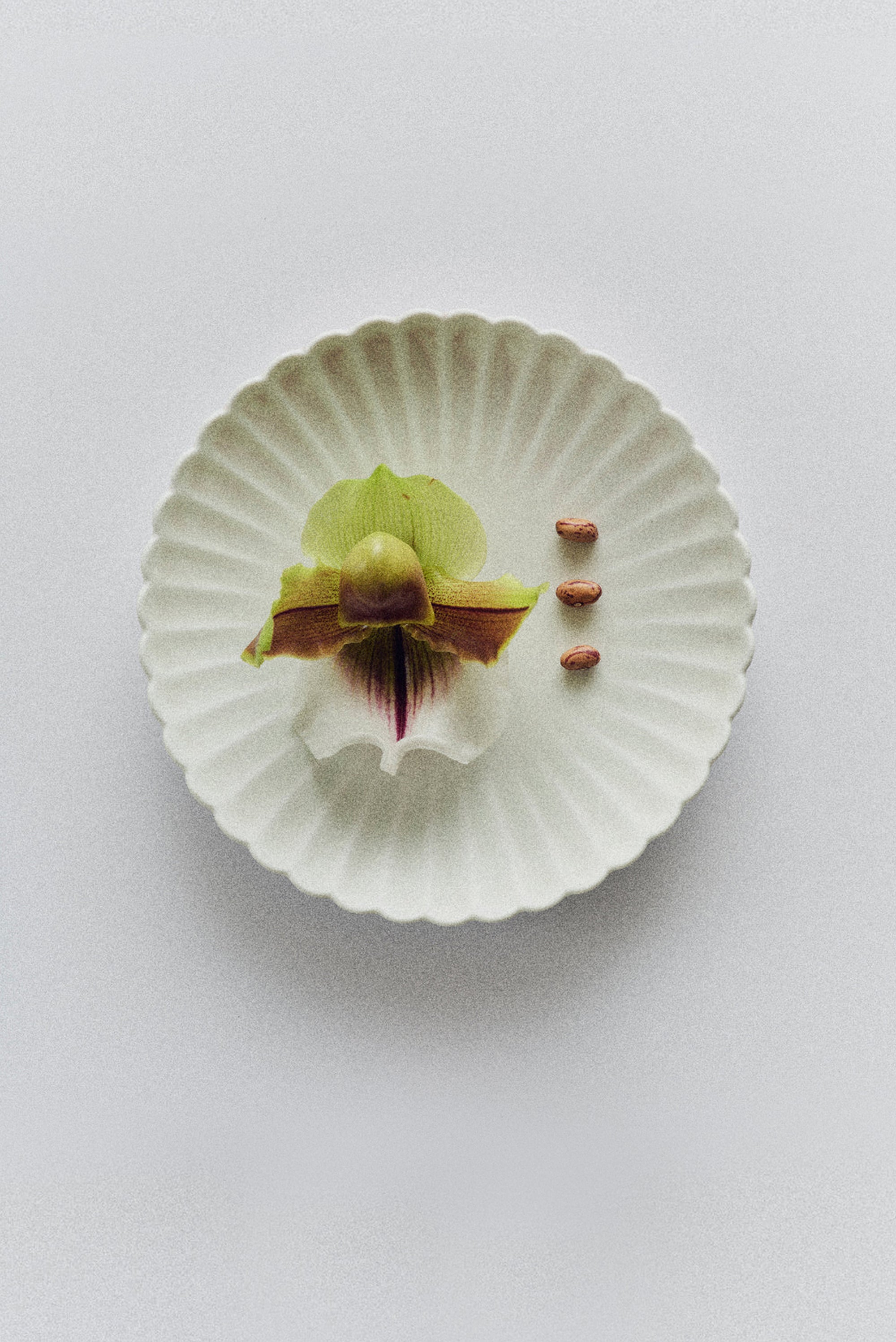 HOUSE EDITIONS Petal Plate (One)