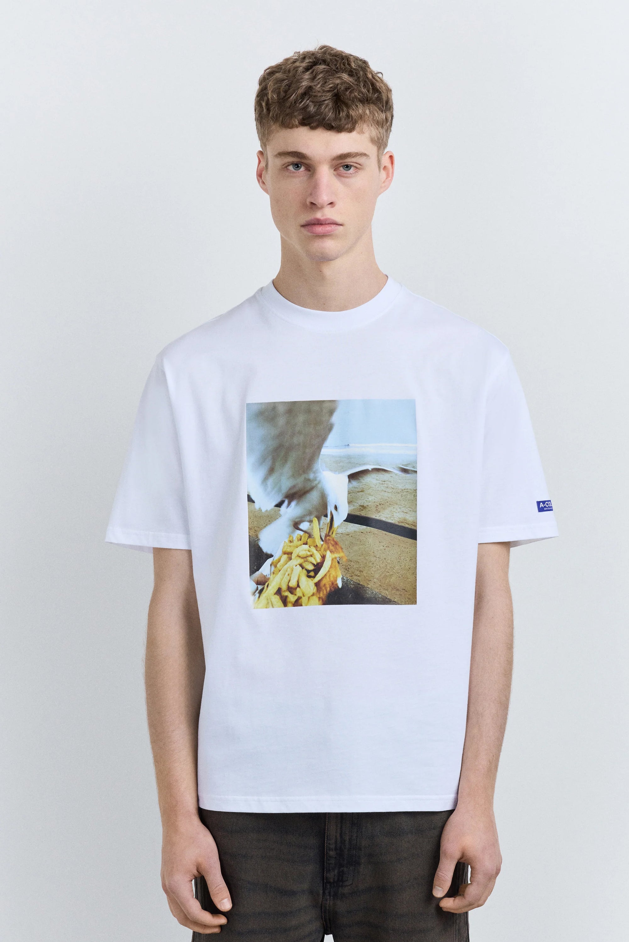 Pesky Seagull Tee - Optic