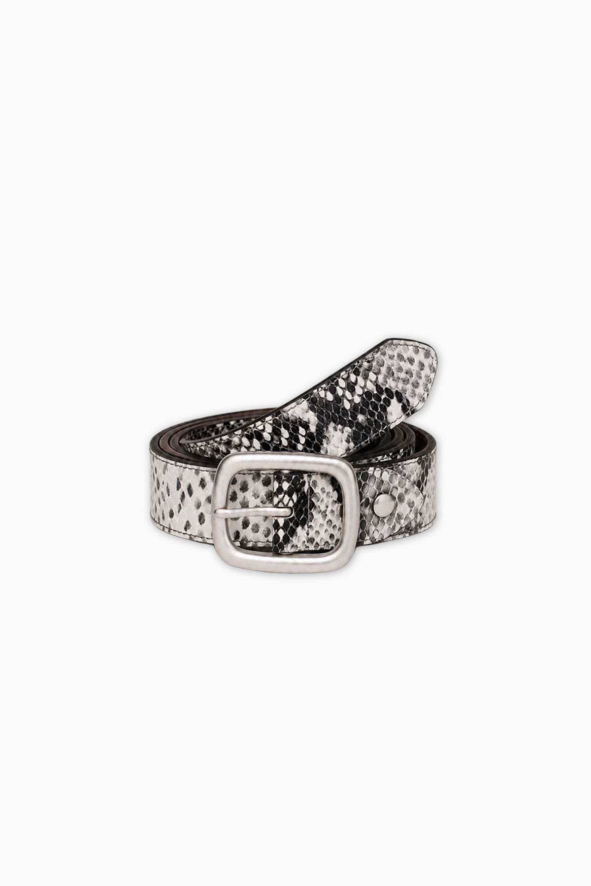 Hunt Belt - Snake