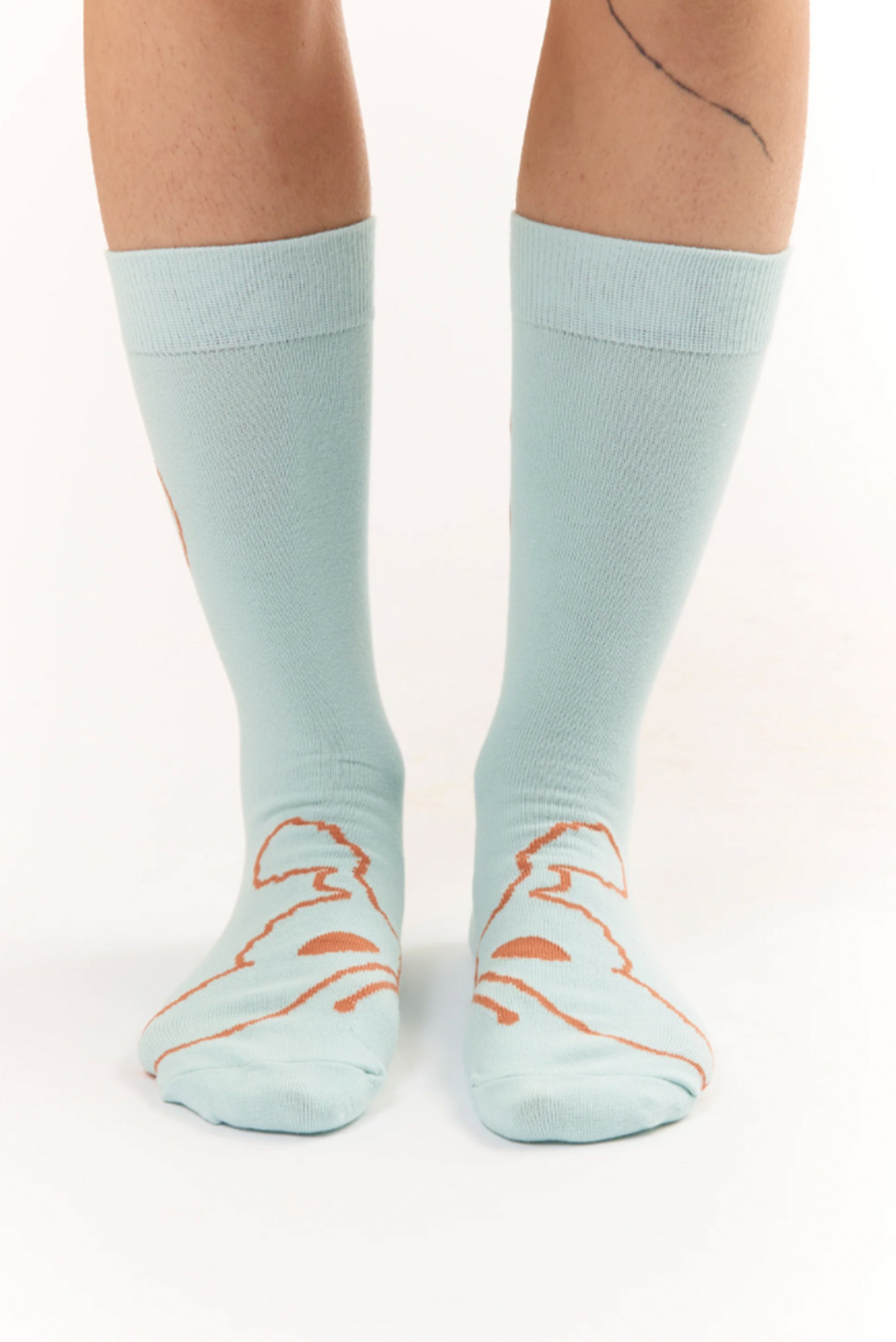 BFF Socks - Blue