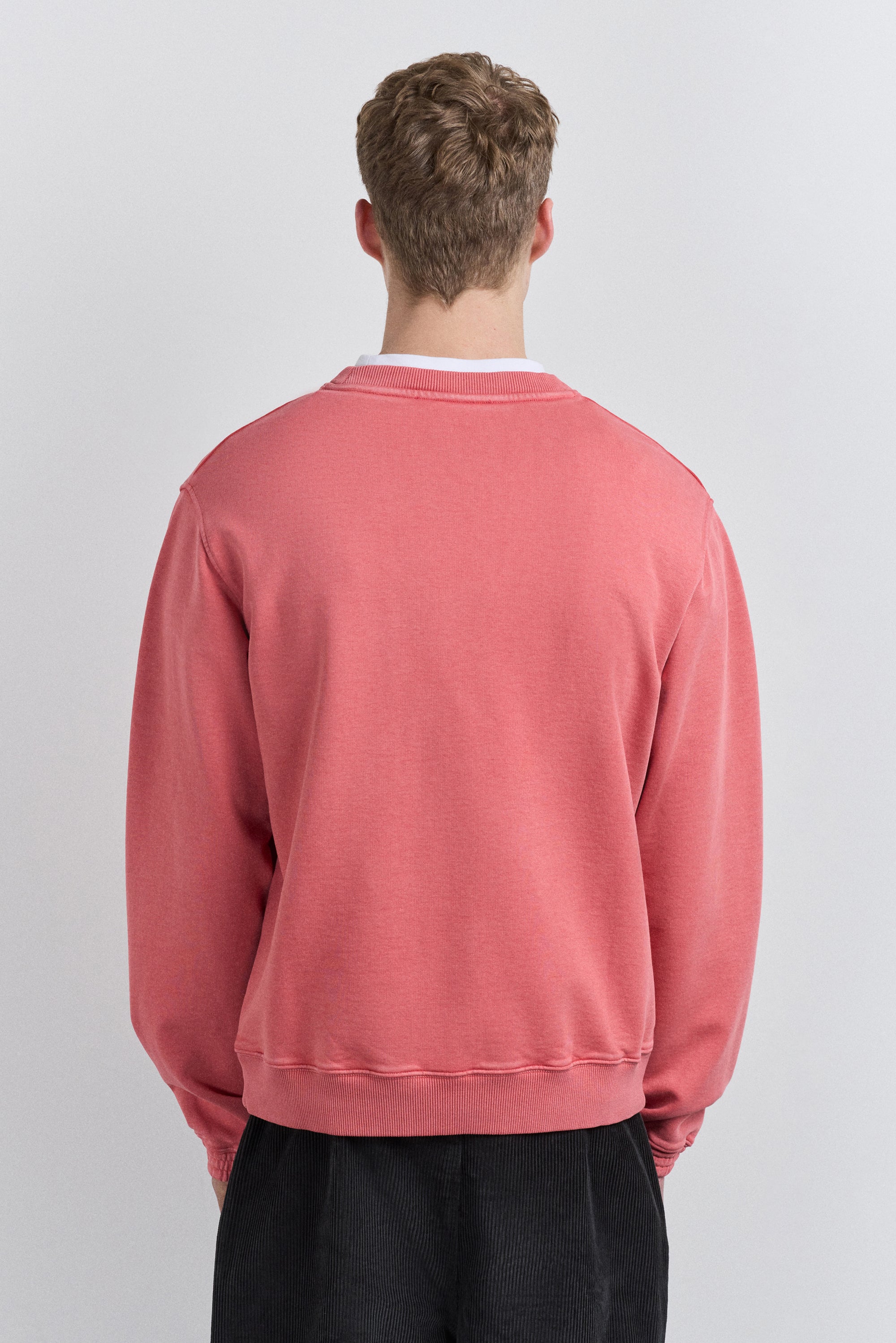 Sunburn Crewneck - Cardinal Red